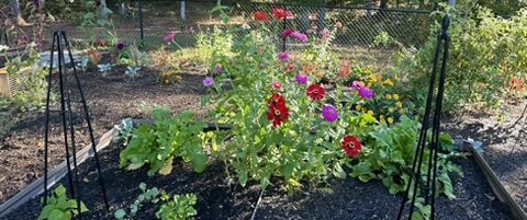 Faith & Stewardship in Gardening